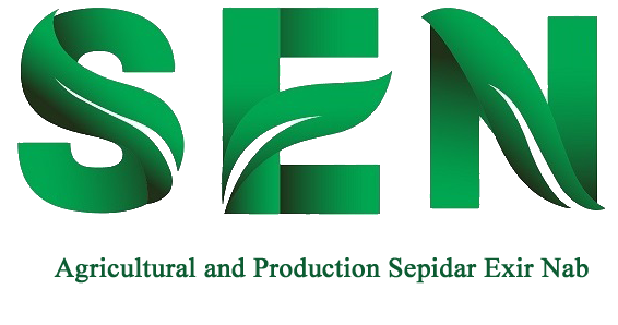 logo sepidar